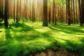 世界举重裁判评分培训营学员结业名单公布，举重世界大赛